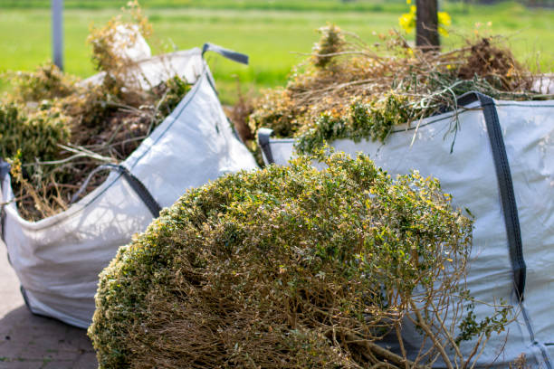 Best Construction Debris Removal  in Seabrook, MD