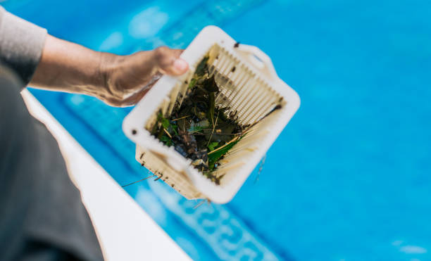 Best Estate Cleanout Services  in Seabrook, MD